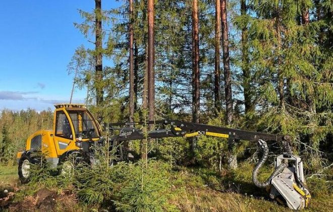 Ilgtspējīga meža atjaunošana