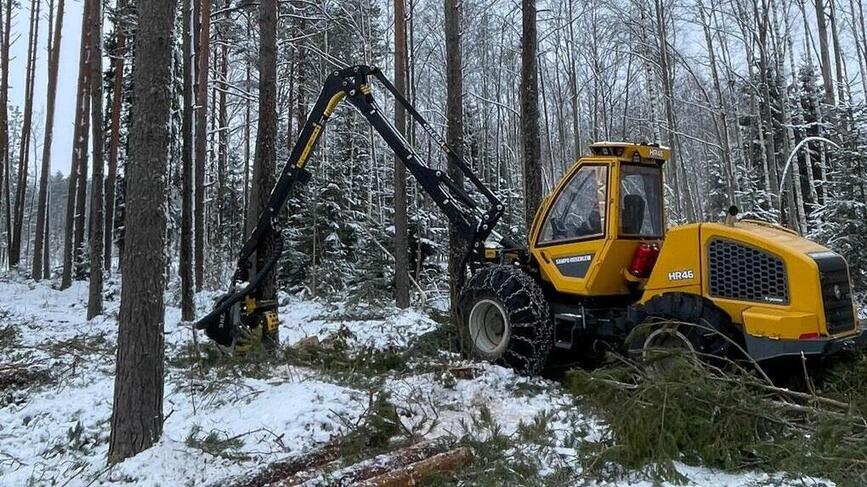 Mežizstrāde ziemas laikā